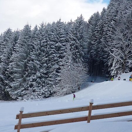Penthouse Alpine Living Direkt An Der Skipiste By Schladmingurlaub Haus im Ennstal Dış mekan fotoğraf