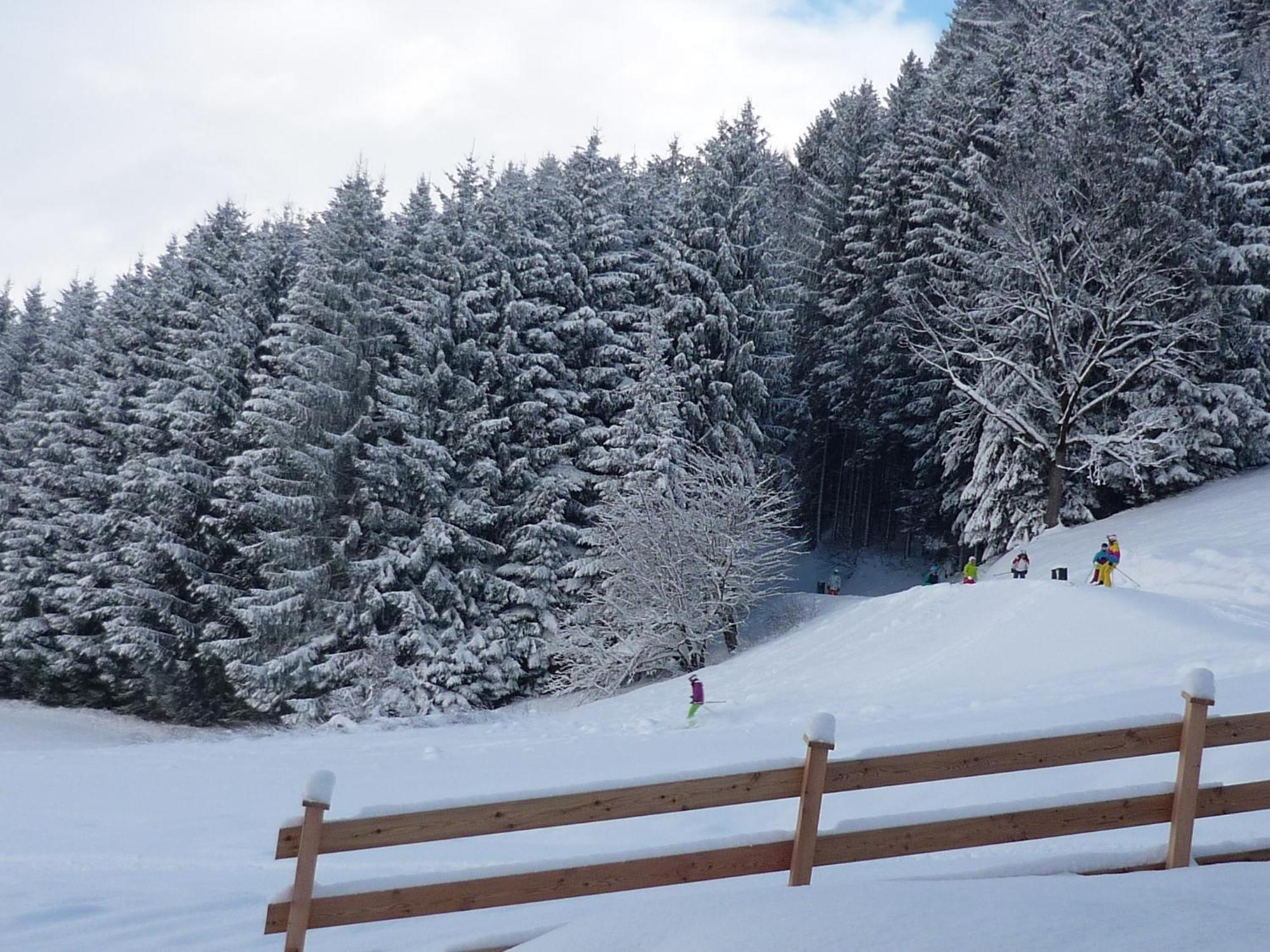 Penthouse Alpine Living Direkt An Der Skipiste By Schladmingurlaub Haus im Ennstal Dış mekan fotoğraf